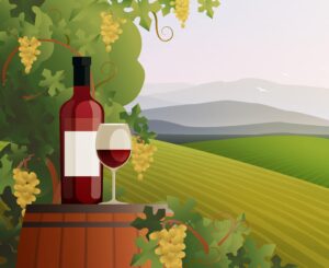 investir dans un vignoble bonne ou mauvaise idée