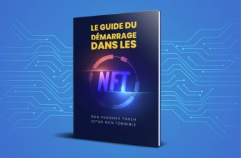 Miniature Guide NFT
